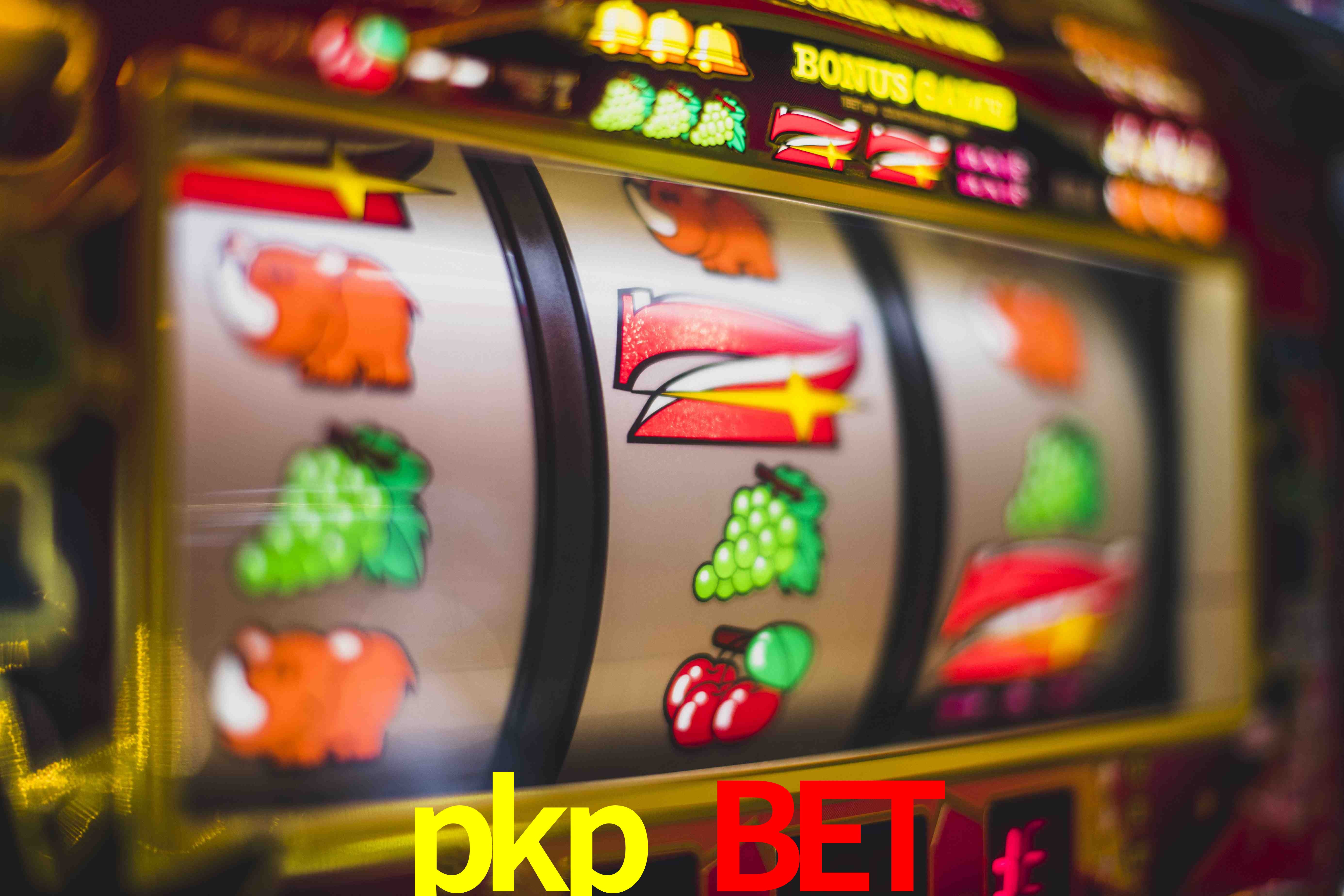 Crash Games Statistics pkp bet